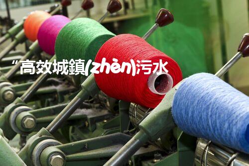 “高效城鎮(zhèn)污水處理流程，守護(hù)碧水藍(lán)天新篇章”